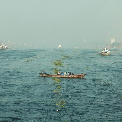 Photo #10341248