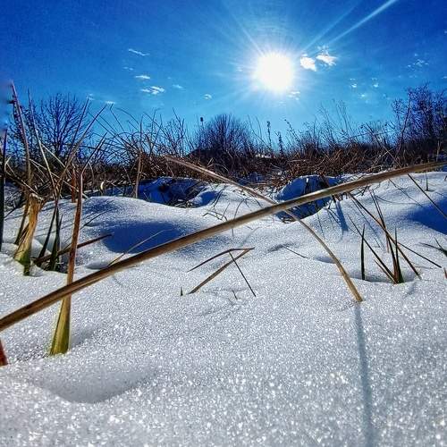 Photo #10341276