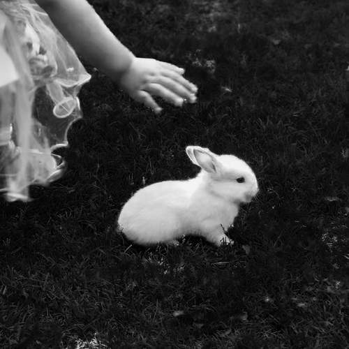 Photo #10341394