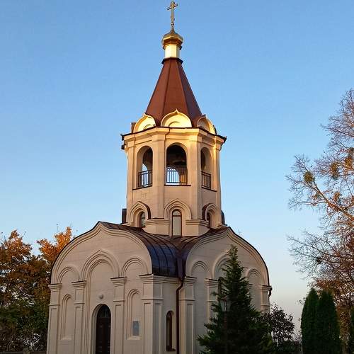 Photo #10341494