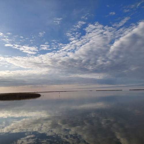 Photo #10341544