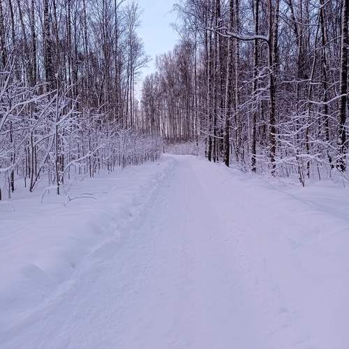 Photo #10341649