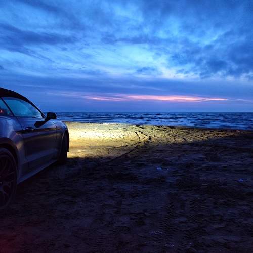 Photo #10341782