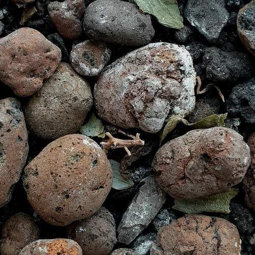 Photo #10341904
