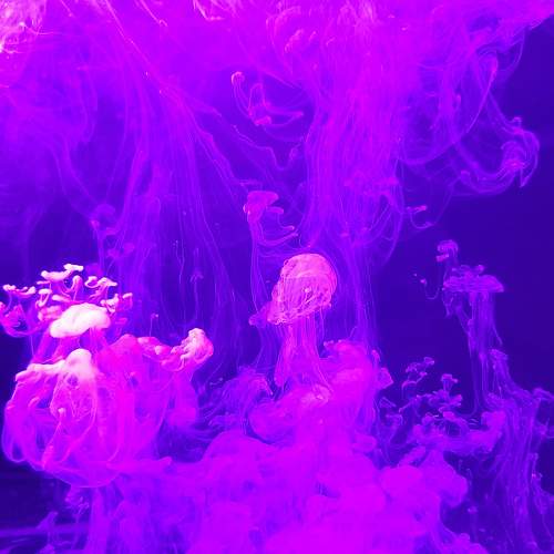 Photo #10341944