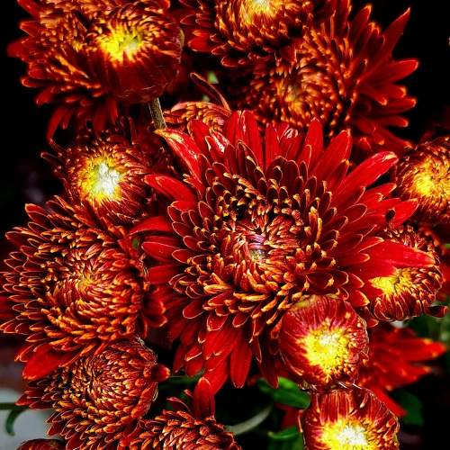 Photo #10341975