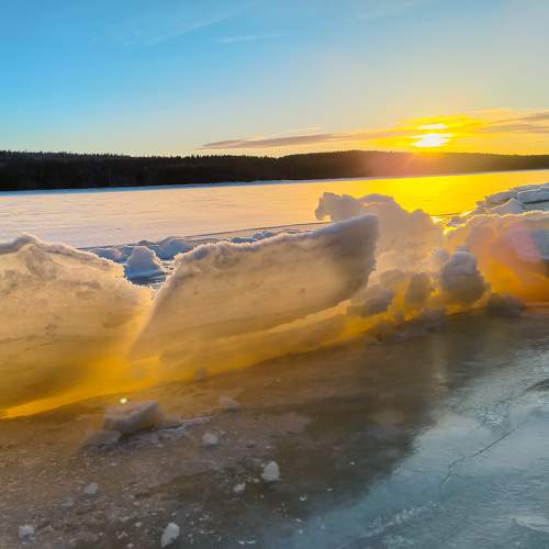 Photo #10342043