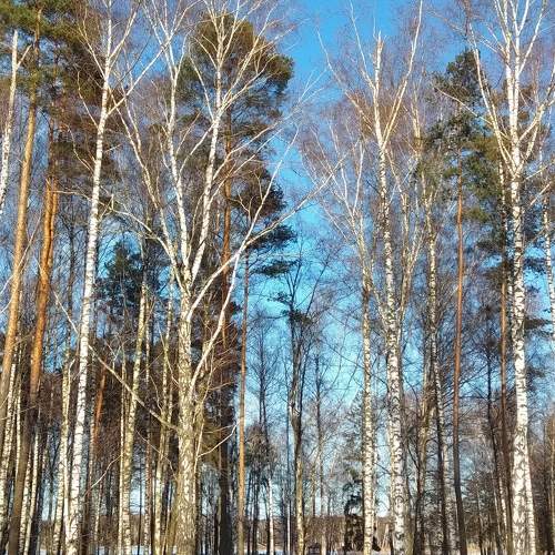 Photo #10342051