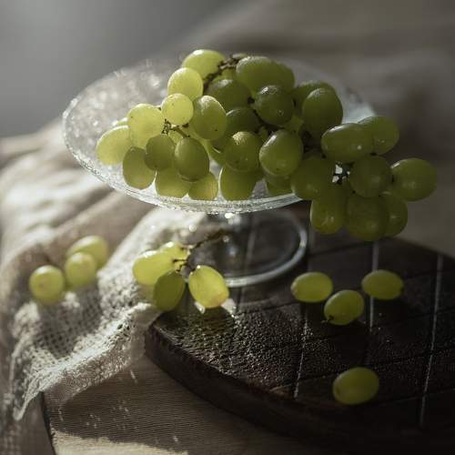 Photo #10342072