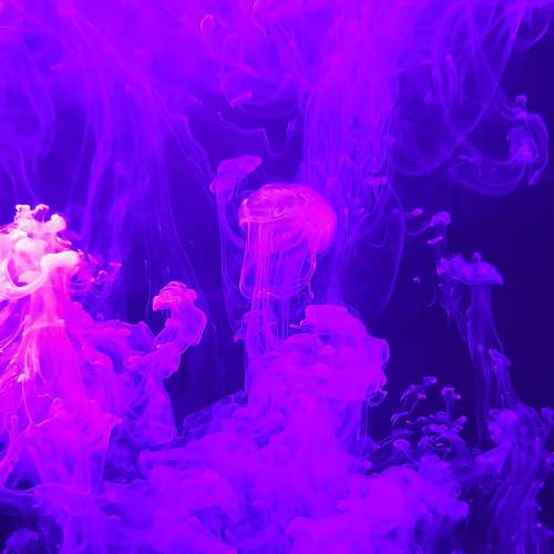 Photo #10342105
