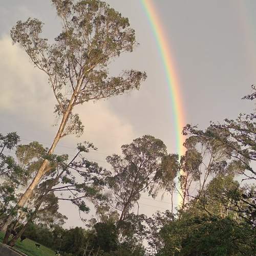Photo #10342594