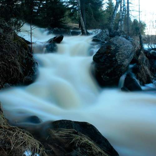 Photo #10342886