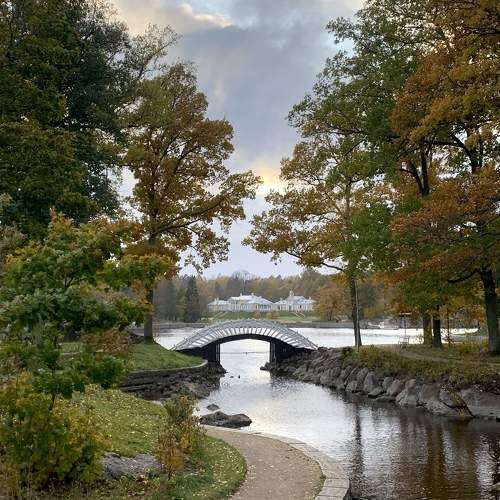 Photo #10343088