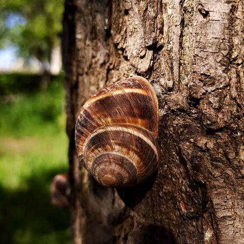 Photo #10343154
