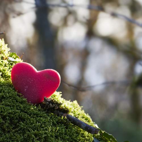 Saint Valentin