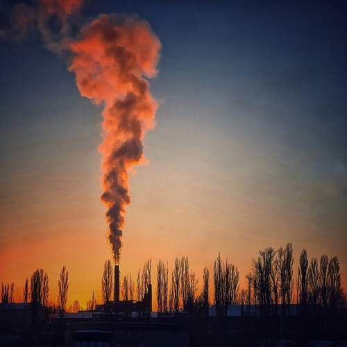 Photo #10343646