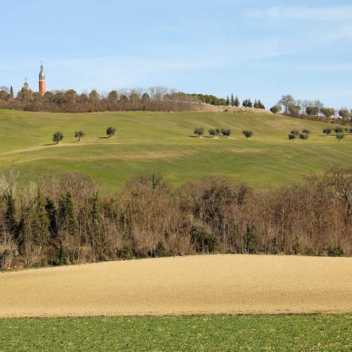 Lines, shapes, colors of Marche hills