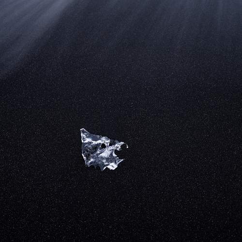 Фотография #10343933