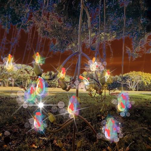 Photo #10344117