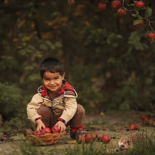 Photo #10344543