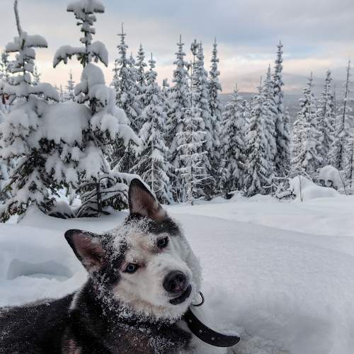 Photo #10345665