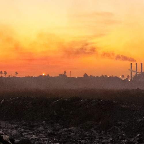 Photo #10346335