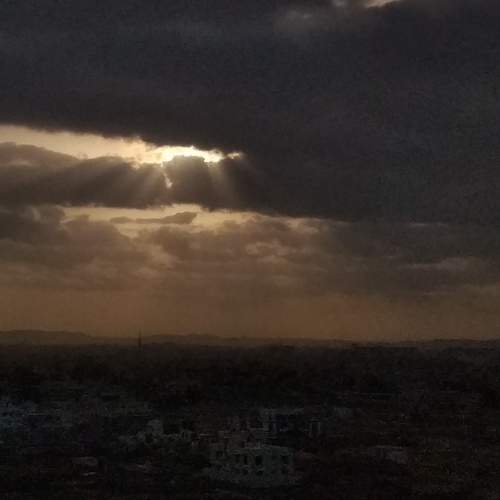 Photo #10346382