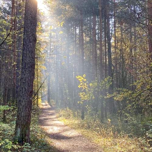 Photo #10346756