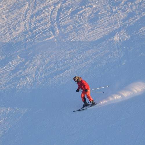 Photo #10346778