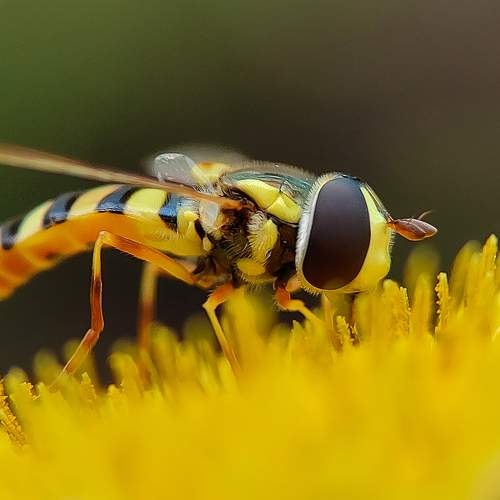 Photo #10346859