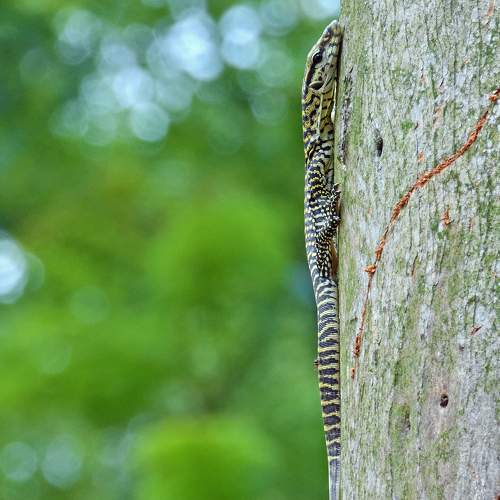 Photo #10346885