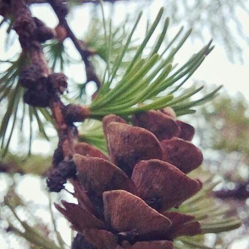 Photo #10347028