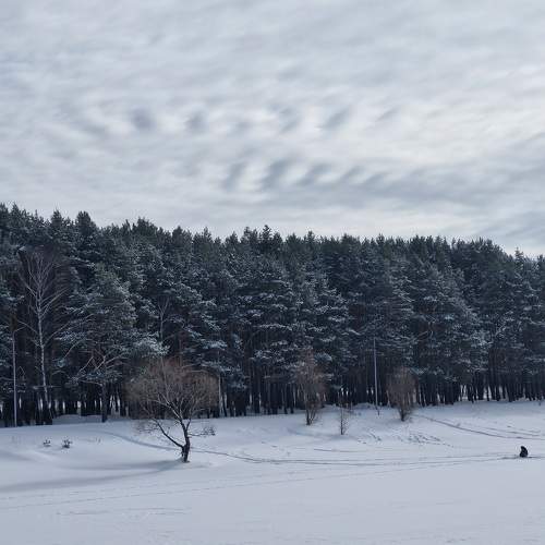 Photo #10347248