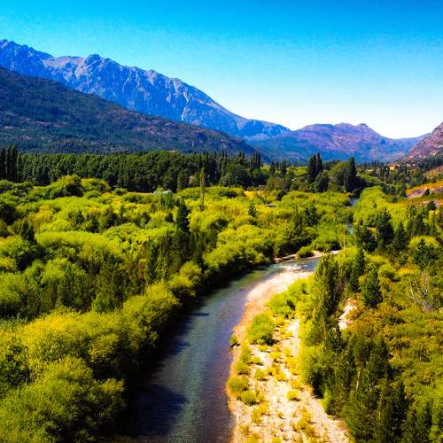 Photo #10347362