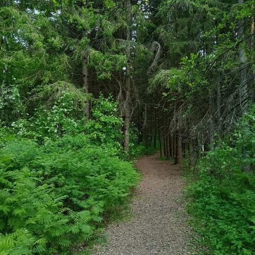 Photo #10347440