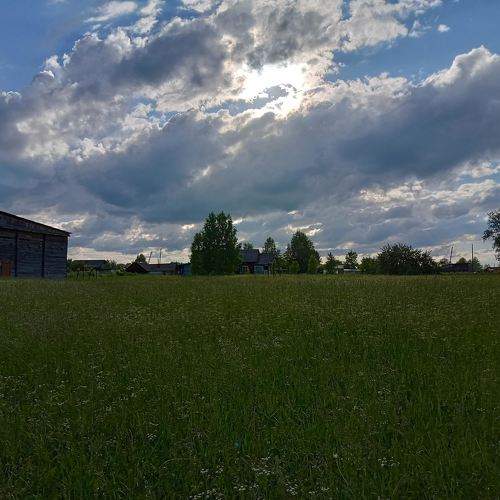 Photo #10347455
