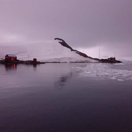 Photo #10347561