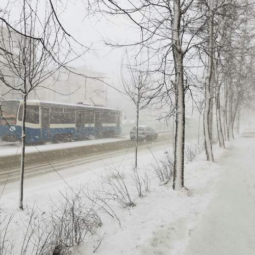 Photo #10347754