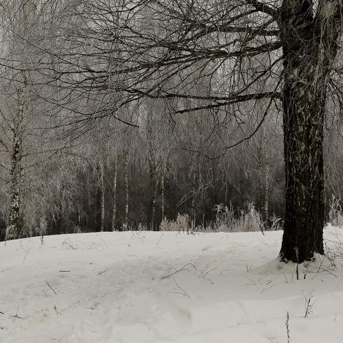 Photo #10348045