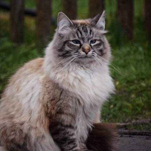 Фотография #10348050