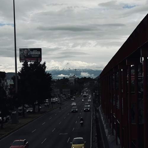 Photo #10348135