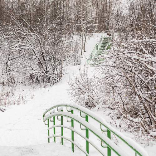 Photo #10348168