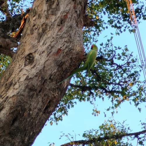 Photo #10348239