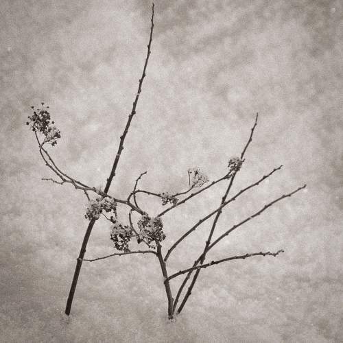 Photo #10349032