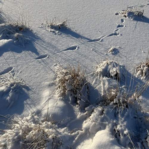 Photo #10349109