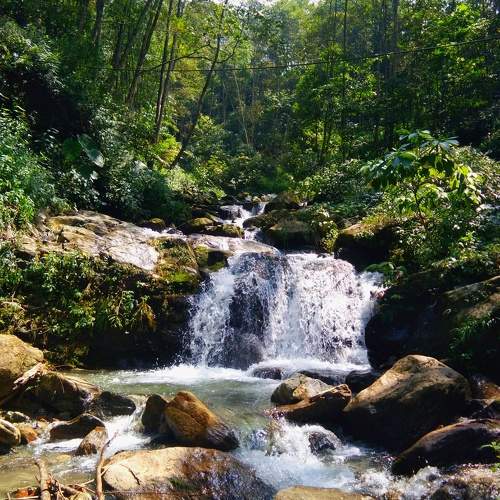 Photo #10349396