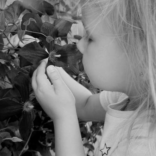 Photo #10349574