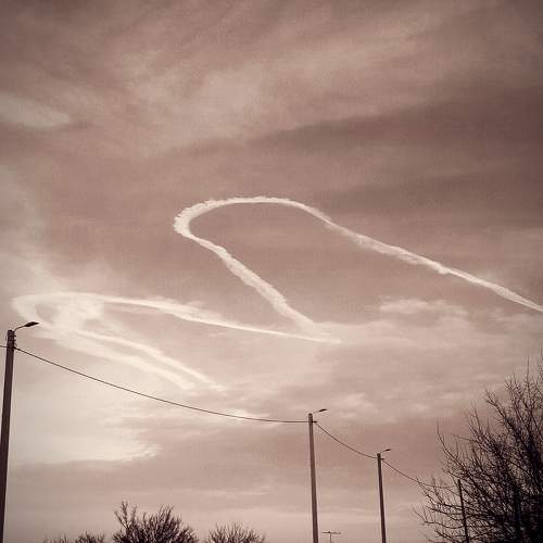 Photo #10349620