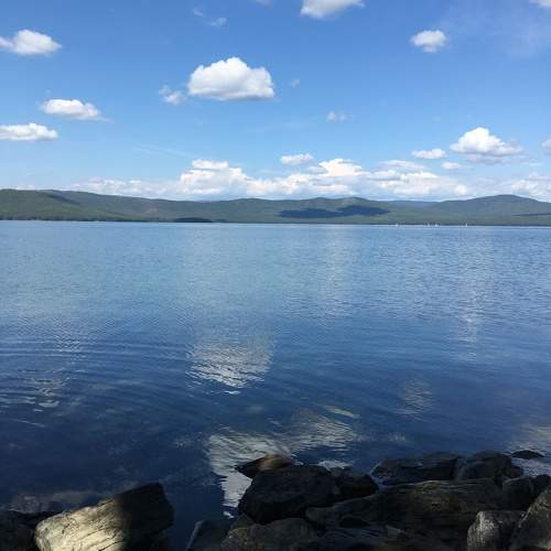 Photo #10349849