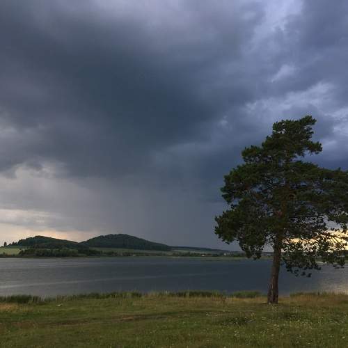 Photo #10349860